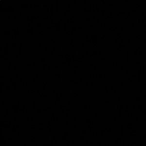 Meet your Posher, Isabel